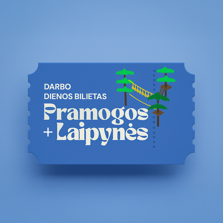 DARBO DIENOS laipynių bilietas